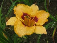IMG_ab 300_800x600.webp