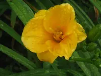 IMG_no name 1_1024x768.webp