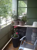 DSC00550.webp