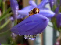 01-Wassertropfen.webp