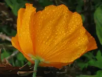 IMG_0136_1024x768.webp