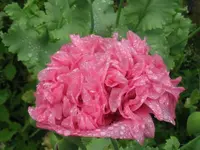 IMG_0143_1024x768.webp