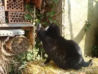 26. Werder Bremen - Gleich hab ich dich!.webp 26. Werder Bremen - Gleich hab ich dich!.webp