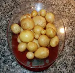 DSC_6629.2.webp DSC_6629.2.webp