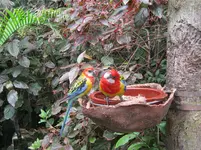 Teneriffa 2 137.webp