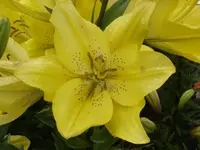DSC09548.webp