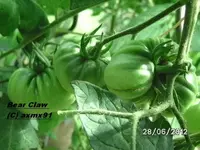BILD0011.webp
