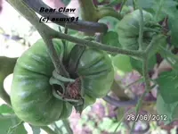 BILD0012.webp