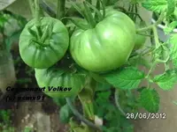 BILD0013.webp