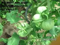 BILD0017.webp