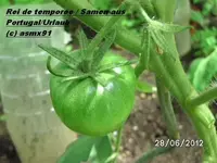 BILD0020.webp