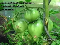 BILD0021.webp