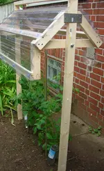 Tomaten 28.06.12-2.1.webp