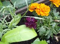 IMGP5335.webp