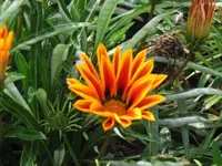 Bild 655.webp
