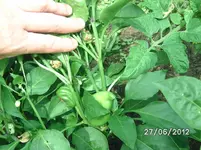 BILD0996.webp