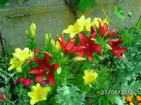 BILD0992.webp