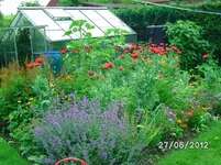 BILD0993.webp
