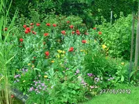 BILD0997.webp