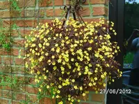 BILD0998.webp