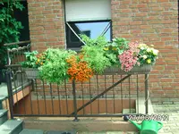 BILD0999.webp