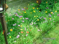 BILD1000.webp