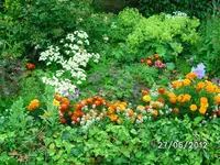BILD1001.webp
