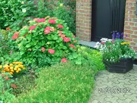 BILD1002.webp