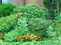 BILD1003.webp