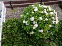 29062012671.webp