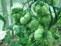 BILD1006.webp