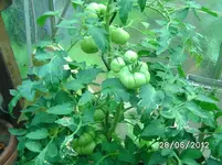 BILD1008.webp