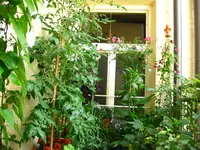 IMG_3473.webp