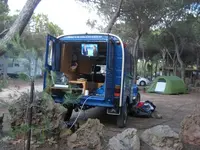 Tinchen übt an Käfern und Co 028.webp