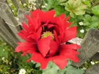 Bild 1753.webp
