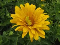 Bild 1748.webp