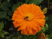 Bild 1763.webp