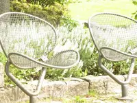Bild 1705.webp