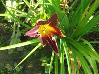 IMG_fragezeichen 28.1_1024x768.webp