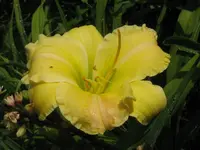 IMG_yamasitha3_1024x768.webp