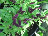 BILD0023.webp