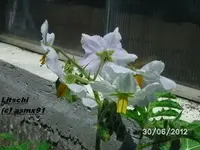BILD0024.webp