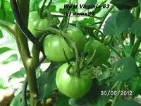 BILD0027.webp