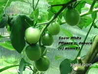 BILD0028.webp