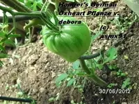 BILD0030.webp
