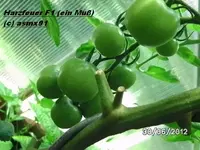 BILD0031.webp