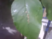 IMG00025-20120630-1627.webp