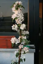 12.04.2012 185.webp