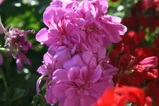 30.06.2012 042.webp