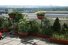 30.06.2012 038.webp